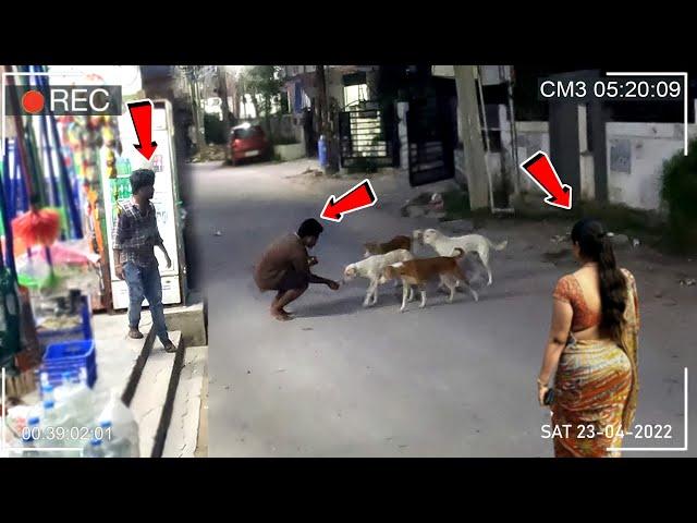 WHAT DOES HE DO FOR STREET DOGS?  | Pet Lover | Humanity | Kindness | Social Awareness | Eye Focus