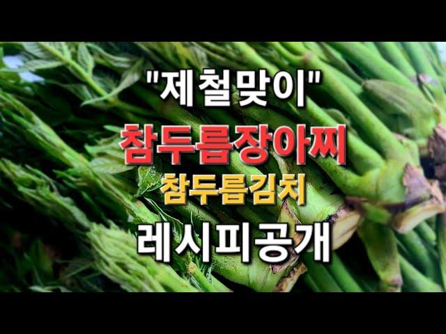 "봄의 신선함을 담은 참두릅, 제철맞이 두릅장아찌 두릅김치 레시피"