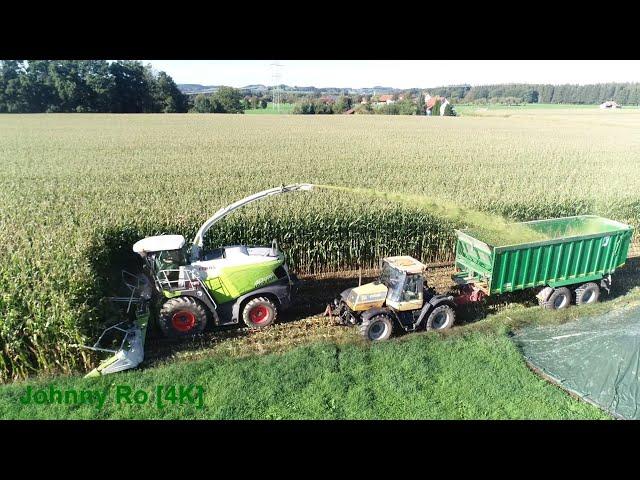 Maishäckseln mit LU Krumm mit Claas Jaguar 970, JCB, Fendt, Kröger, Fliegl, Claas, Teil 6 2022 [4K]