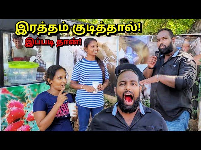 திரும்பி வந்துட்டேன்! யாழில் அதிசய மருத்துவ பானம் | நாகதாளி பழம் Jaffna Juice Bar | Alasteen Rock