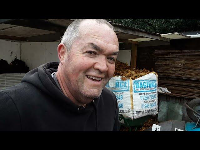 Autumn Leaves   How Do I Make Quality Compost In 12 months  Quick Compost Is Not As Good