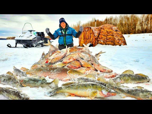 ЭТО СОН?! ЛОПАТЫ НА КОМБАЙНЫ! РЫБАЛКА-МЕЧТА С НОЧЕВКОЙ НА ЛЬДУ ОБИ ч.1