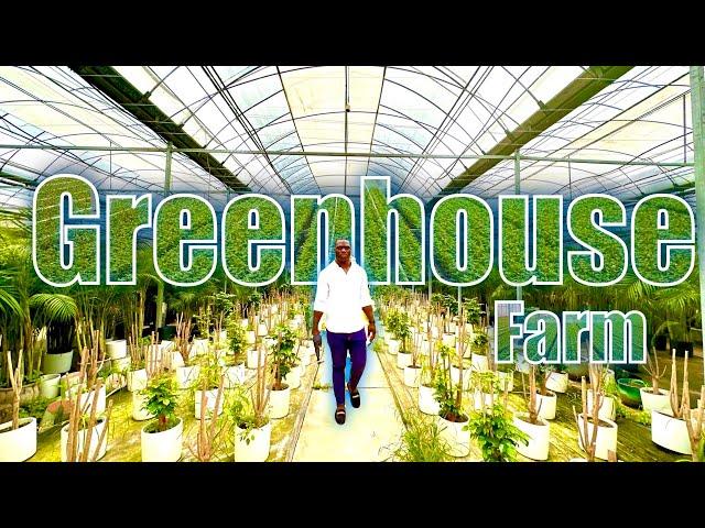 Greenhouse farm tour in Shanghai (China)  - Easy Trade Africa