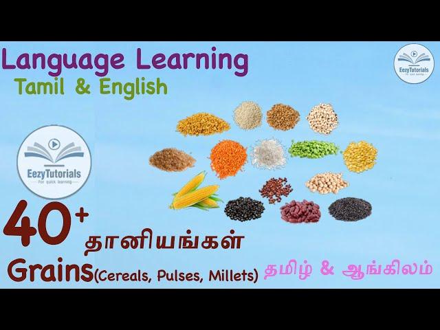 40 cereals pulses and millets| 40 தானியங்கள்: கூளவகைகள், பருப்பு வகைகள், சிறு தானியம்|with animation