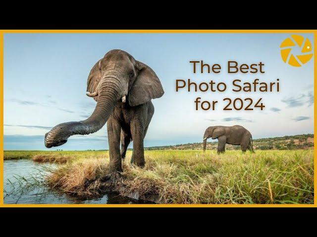 The Best PHOTO SAFARI for 2024