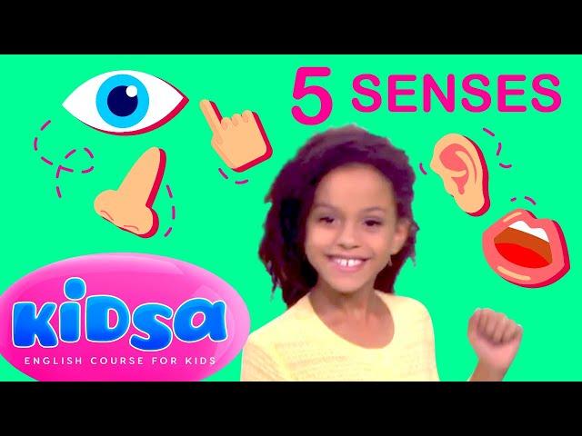 5 Senses - Kids Songs - Kidsa English