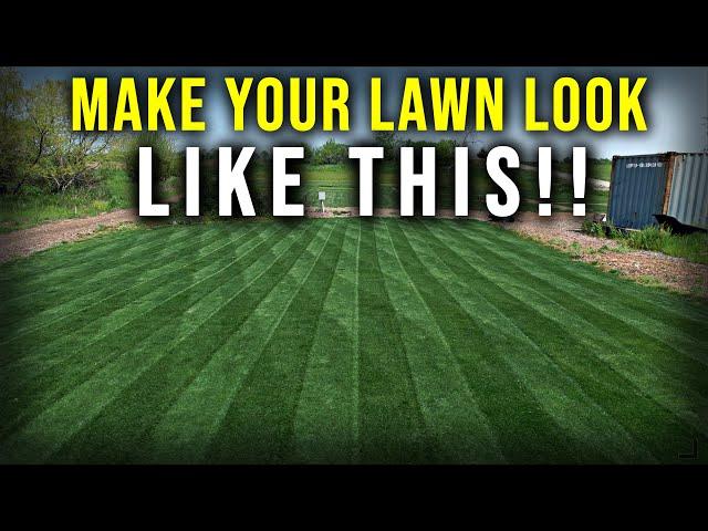 Fix Your Damaged Lawn With Overseeding