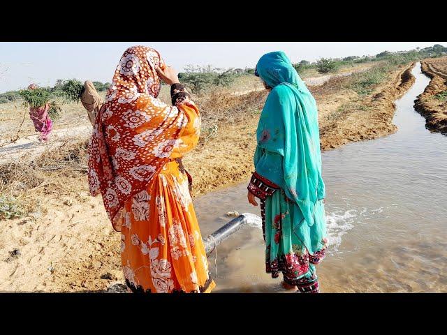 "Where Crops Grow & Craft Thrives: A Village Story" | vlog #balochivlog