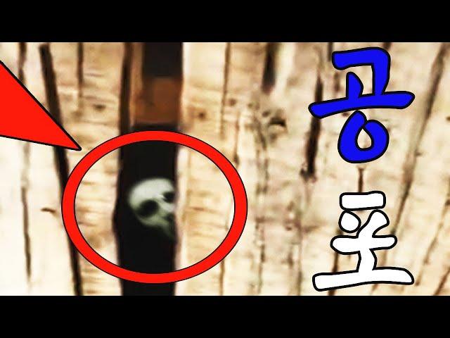 밤에 보지마!