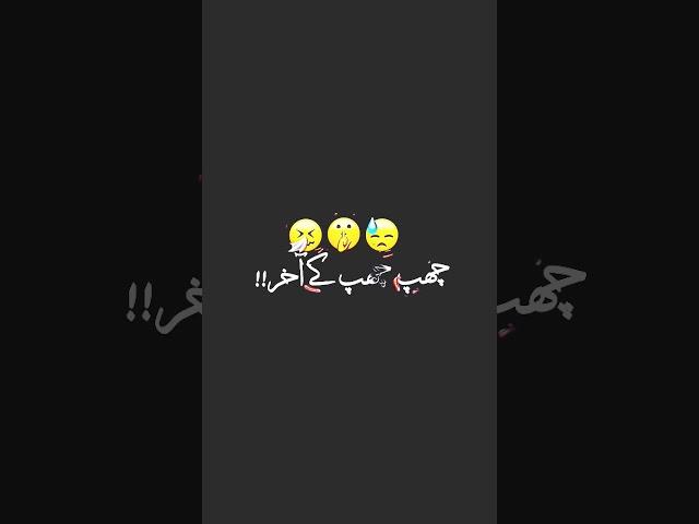 MDSHAHBUDDIN 786