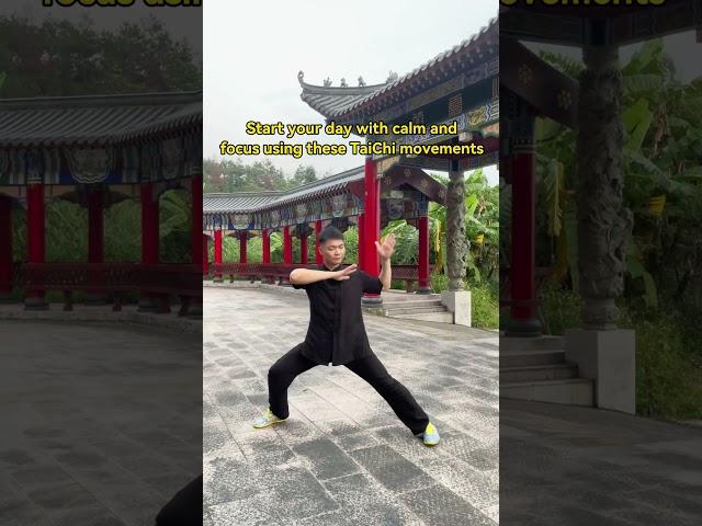 Start your day with TaiChi to flow energy and calm #martialarts #taichi