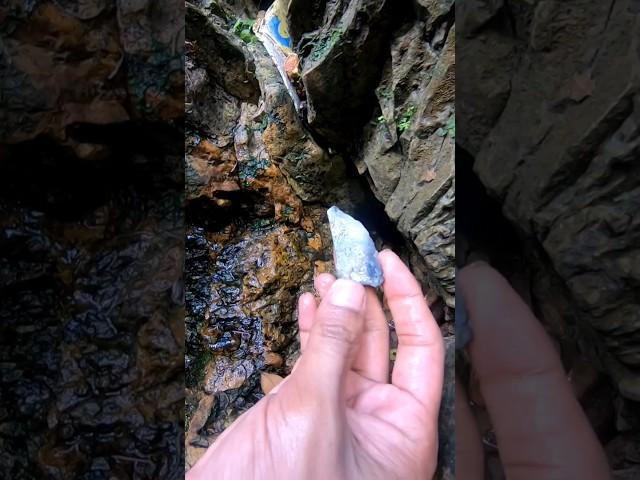 crystal Hunter in forest #diamond #jade #gemstones #agate #crystals #petrifiedwood