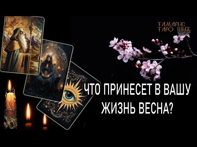 ЧТО ПРИНЕСЕТ В ВАШУ ЖИЗНЬ ВЕСНА?  #таро#tarot#gadanie#онлайн#гадание#расклад#таролог