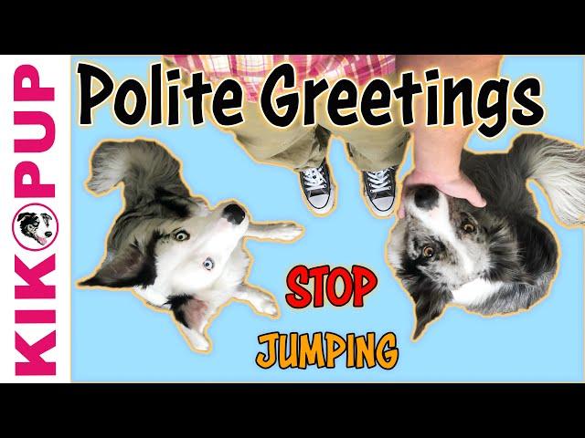 Polite Greetings - STOP Jumping