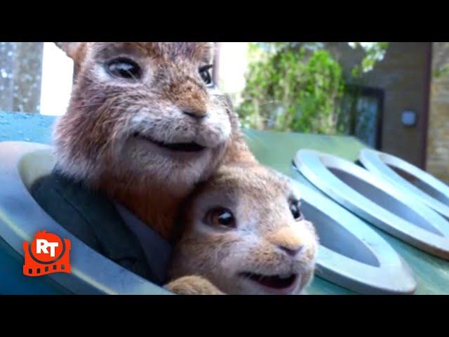 Peter Rabbit 2: The Runaway - Whack-a-Rabbit Scene