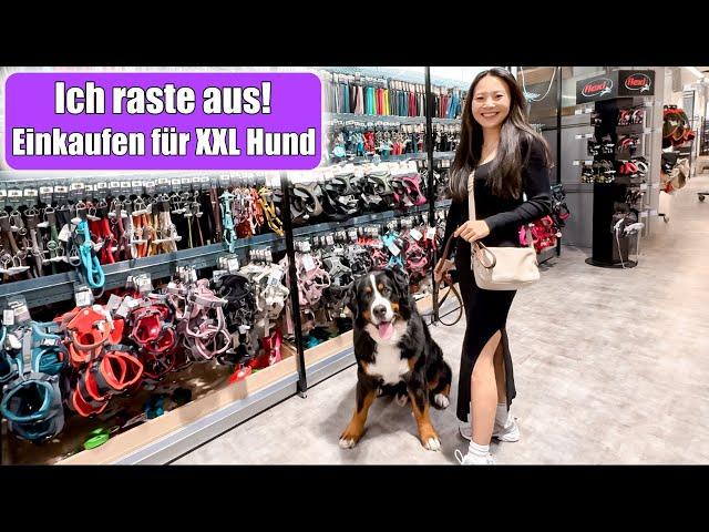 Shopping mit Hund  Urlaub Vorbereitungen mit großem Hund! Einkaufen Haul Zoohandlung Mamiseelen