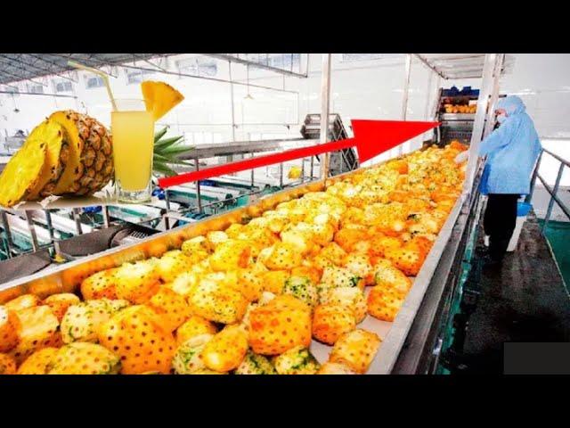 How Pineapple Juice is Produced In Modern Factory