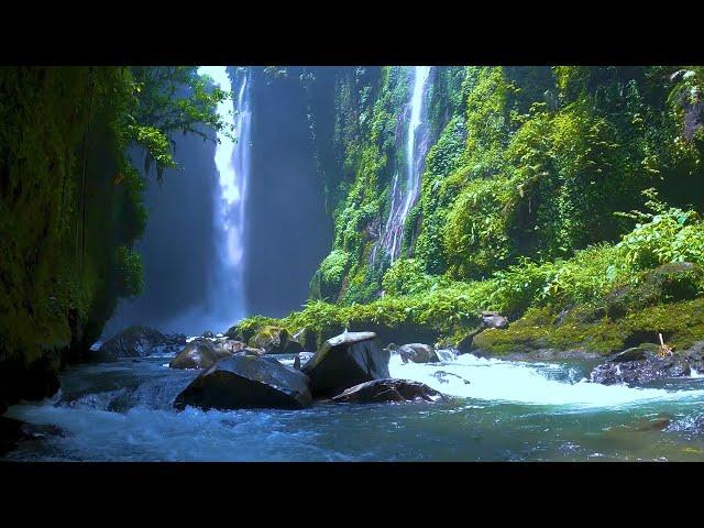 FUN YOUR EYES & MIND - WATERFALL RELAXATION & NATURAL SOUNDS