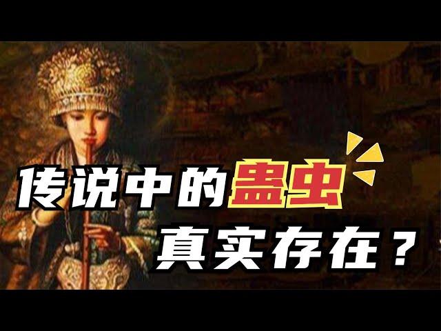 傳說中的“蠱蟲”，是否真實存在？ 揭秘真實的養蠱人與下蠱方法！