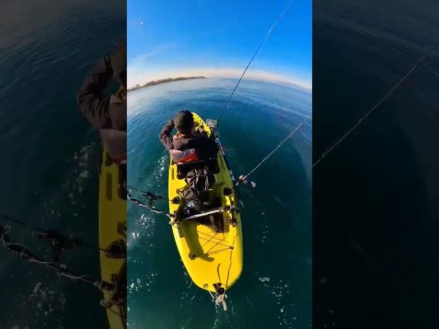 A PESCA VELOCE! Kayak fishing - insta 360 video Reframed #clipangler