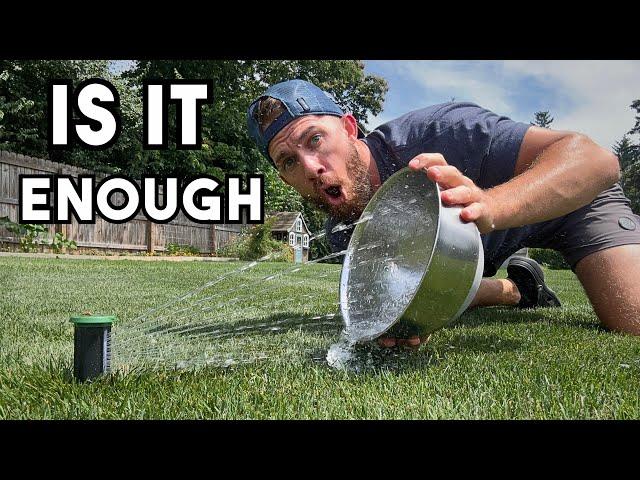 Do YOU Make THESE  Watering Mistakes!?