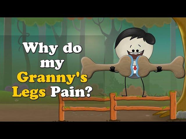 What is Arthritis? + more videos | #aumsum #kids #science #education #children