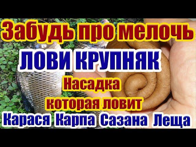 Забудь про мелочь Лови Крупняк! Насадка на Карася карп лещ Рыболовная насадка для карася