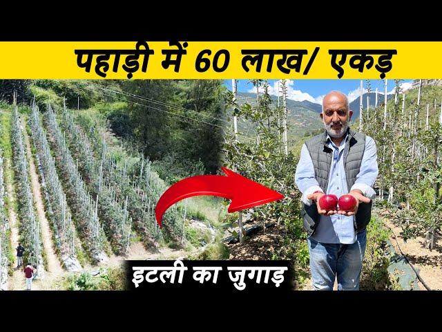 ऐसे होती है देवभूमी में Apple की आधुनिक खेती Modern Apple Farming | Indian Farmer