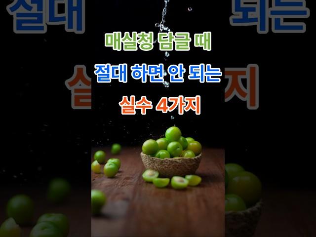 “매실청 담글 때, 절대 하면 안 되는 실수 4가지”