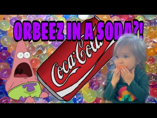 We put Orbeez in 4 different liquids!