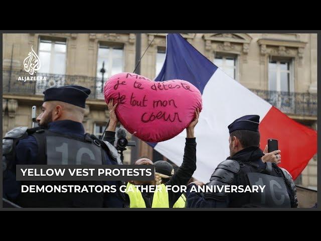 France protests: One year on 'yellow vest' movement loses steam