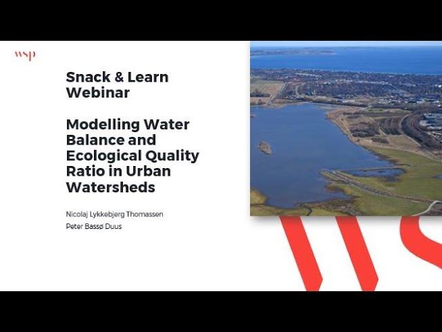 Modelling Water Balance and Ecological Quality Ratio in Urban Watersheds