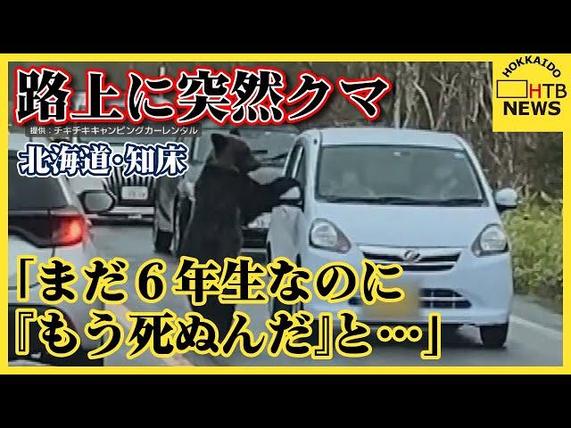 「まだ６年生なのに『もう死ぬんだ』…」路上に突然クマ　サイドミラー折る瞬間カメラ捉える　北海道・知床