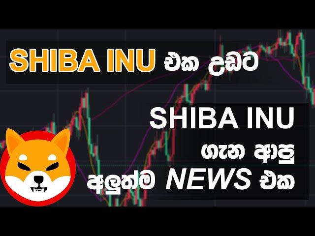 ALERT! BUY SHIB INU RIGHT NOW!!!!!!!