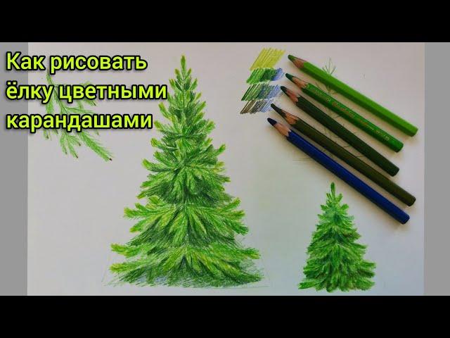 Ёлка. Рисунок акварельными карандашами.