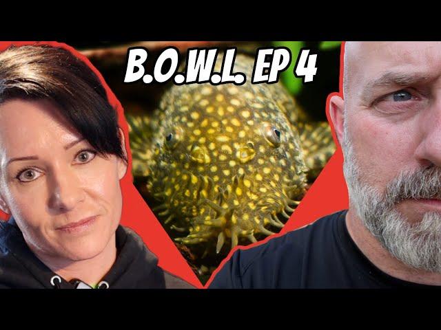 We eat turkey while Plecos eat poop! GIVEAWAY! B.O.W.L. Ep. 4