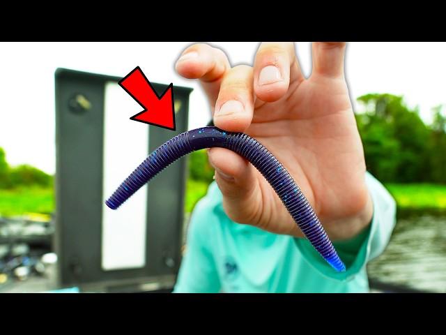 This TECHNIQUE will Change WORM Fishing FOREVER