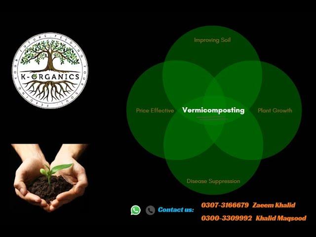 Vermicompost in Pakistan. Onion Cultivation in Sindh, Pakistan. #vermicompost #trends #organic