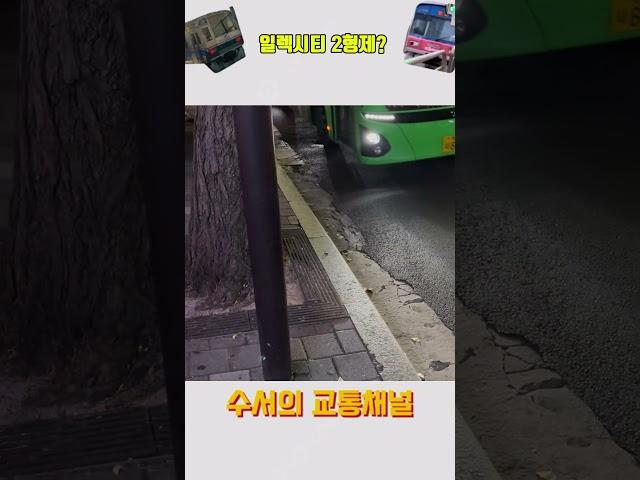 일렉시티 2형제?