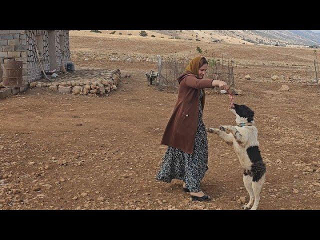 A beautiful nomadic woman takes care of her friend