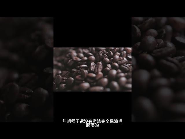 金剛經第1品4 #shorts #慧全法師