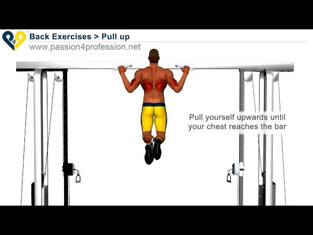 How To Do Pull Up Exercise | Fit Nomads | Nomad Workout