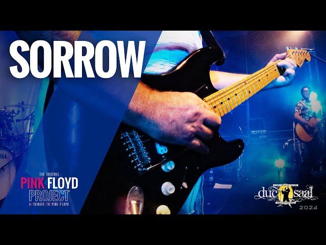 The PINK FLOYD Project | Sorrow | Ducsaal 24