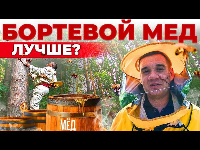 Бортевой мед - СЕКРЕТНАЯ СИЛА древнего пчеловодства? СВОЯ ЕДА