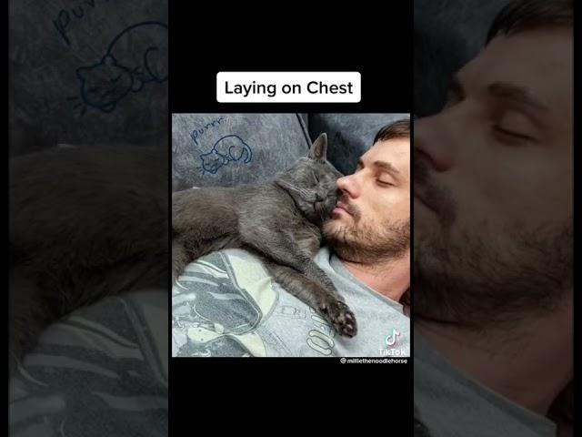 Facts About Cats You Didn’t Know