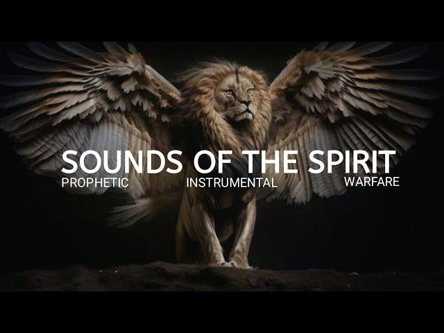 1 HOUR INSTRUMENTAL WORSHIP MUSIC || SOUNDS OF THE SPIRIT || PRAYER AND MEDITATION MUSIC.