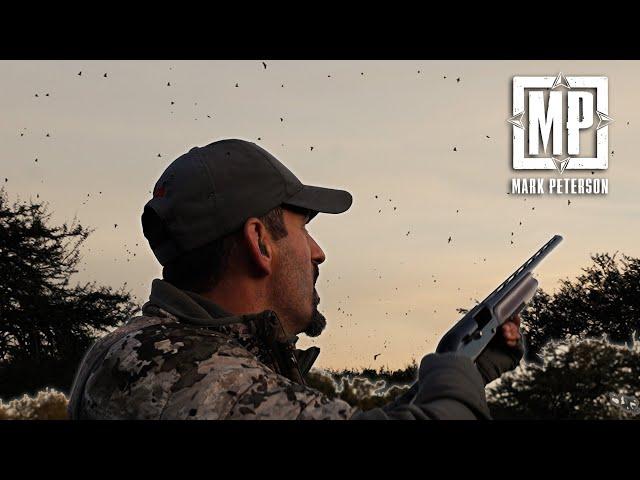 10,000,000 Doves on One Roost | Mark V. Peterson Hunting