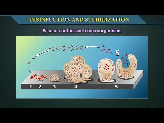 Disinfection and Sterilization