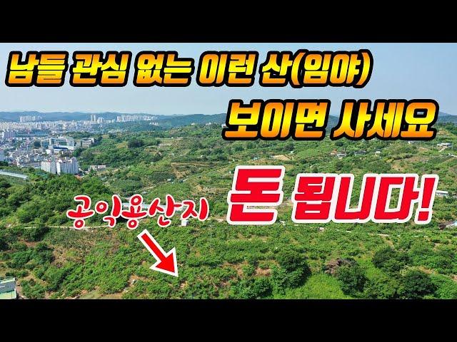 (역발상) 이런 땅(임야) 보이면 무조건 사세요! 토지투자 노하우 공익용산지에 투자해서 돈벌기