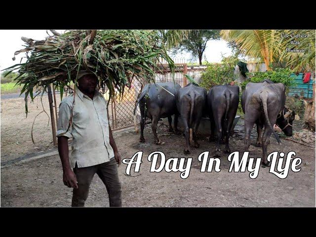 My Village Tour || Life Captured With Munmun